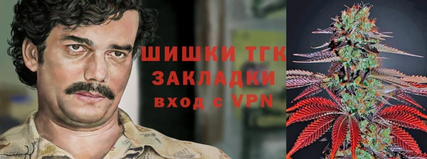 ECSTASY Карпинск