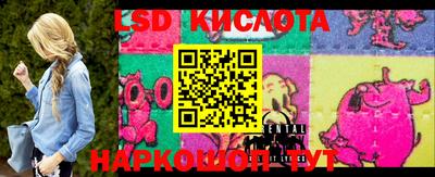 PSILOCYBIN Заводоуковск
