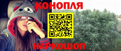 PSILOCYBIN Заводоуковск