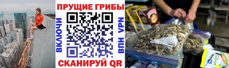 Псилоцибиновые грибы ЛСД  Мариинск 